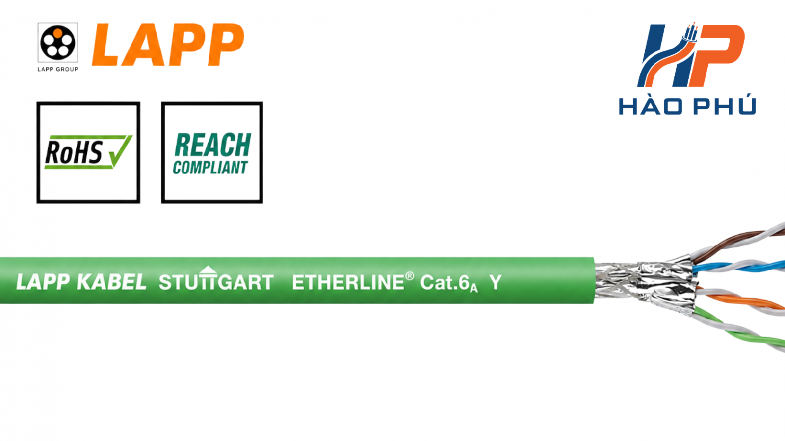 ETHERLINE Cat6A Y 2170464