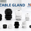 Cable Gland Là Gì? Cách Chọn Ốc Siết Cáp Theo Size, Ren, Vật Liệu Và IP