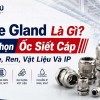 Cable Gland Là Gì? Cách Chọn Ốc Siết Cáp Theo Size, Ren, Vật Liệu Và IP