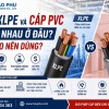 Cáp XLPE Và Cáp PVC Khác Nhau Ở Đâu? Khi Nào Nên Dùng?