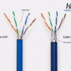 Cat6 Và Cat6A Khác Nhau Thế Nào? Nên Chọn Loại Nào Cho Công Trình?