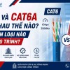 Cat6 Và Cat6A Khác Nhau Thế Nào? Nên Chọn Loại Nào Cho Công Trình?