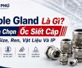 Cable Gland Là Gì? Cách Chọn Ốc Siết Cáp Theo Size, Ren, Vật Liệu Và IP
