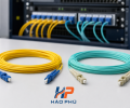 Cáp Quang Singlemode Và Multimode Khác Nhau Thế Nào? Chọn Loại Nào Cho Công Trình?