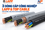 3 Dòng Cáp LAPP & TOP CABLE Đáng Quan Tâm Tại Hào Phú