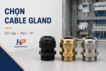 Chọn Cable Gland Theo Đường Kính Cáp, Size Ren Và Cấp IP Như Thế Nào?