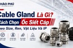 Cable Gland Là Gì? Cách Chọn Ốc Siết Cáp Theo Size, Ren, Vật Liệu Và IP