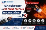 Cáp Chống Cháy Và Cáp Chống Cháy Lan Khác Nhau Thế Nào?