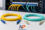 Cáp Quang Singlemode Và Multimode Khác Nhau Thế Nào? Chọn Loại Nào Cho Công Trình?
