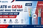 Cat6 Và Cat6A Khác Nhau Thế Nào? Nên Chọn Loại Nào Cho Công Trình?