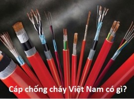  CÁP CHỐNG CHÁY TẠI VIỆT NAM CÓ NHỮNG ĐẶC ĐIỂM GÌ?