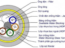 Nguyên nhân cáp quang biển đứt liên tục ?