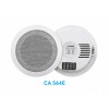 Loa PAVA Âm Trần AEX CA 564E – 6W
