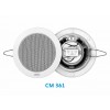 Loa PAVA Âm Trần AEX CM 361 – 6W