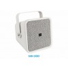 Loa Kèn Nhạc AEX MH 200 – 200W