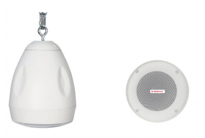 Loa pendant treo ngoài trời NVS 30 W – Âm thanh mạnh mẽ, vỏ ABS chống cháy và tia UV